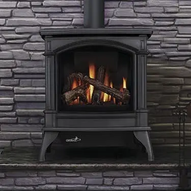 Continental Cdvs600 Direct-Vent Gas Stove 1