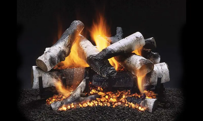 Heatmaster Srb24 Savannah River Birch Vented Gas Logs – 24-Inch Set With Realistic Detailing 1
