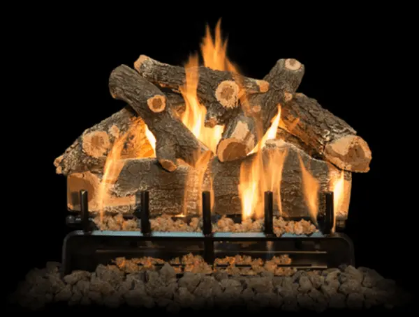 Mason-Lite Virginiana Decorative Gas Log Set With Burner – Compatible With Mfp39 (24") 1