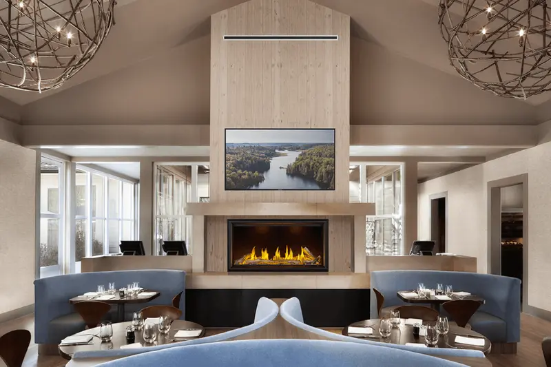 Napoleon Tall Linear Vector™ 50-Inch Direct-Vent Gas Fireplace – Tlv50N 1
