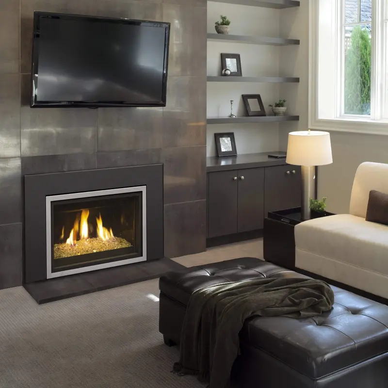 Peterson Real Fyre 36-Inch Ipi Direct Vent Fireplace Insert (Dvit-36I) 1