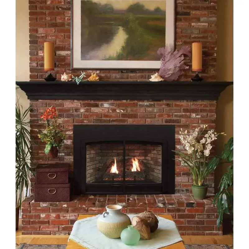 White Mountain Hearth Innsbrook Dvc28In71 46-Inch Clean-Face Gas Fireplace Insert With Intermittent Pilot 1