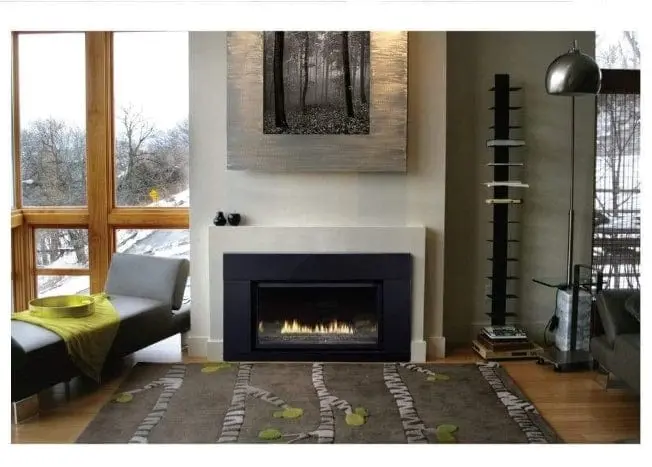 White Mountain Hearth Loft Dvl25In73 40-Inch Small Gas Fireplace Insert With Intermittent Pilot 1